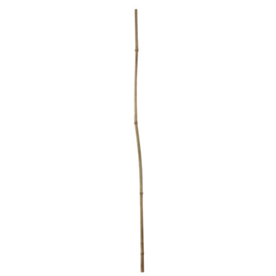 Set of 3 Bamboo Plant Supports - XLarge