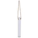 Hanging Open Terrarium Tube, Glass - Medium