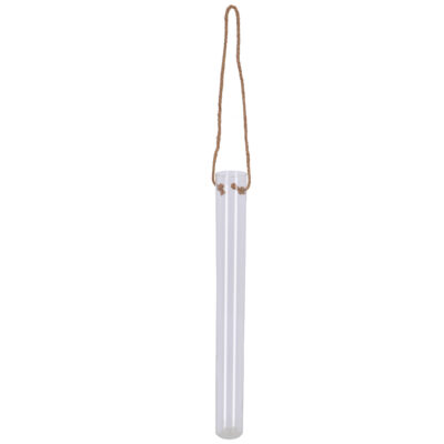 Hanging Open Terrarium Tube, Glass - Large